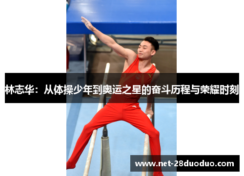 林志华：从体操少年到奥运之星的奋斗历程与荣耀时刻