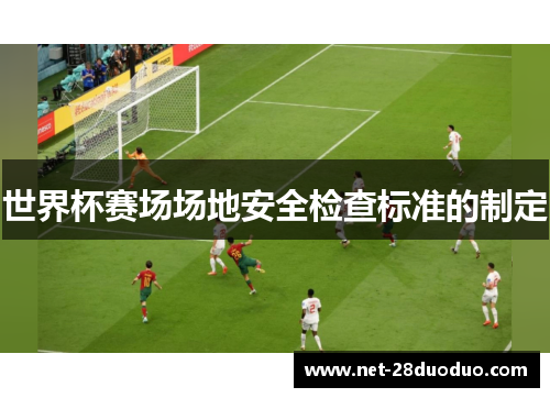 世界杯赛场场地安全检查标准的制定