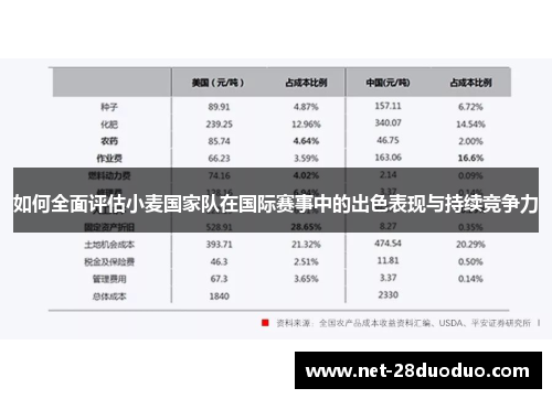 如何全面评估小麦国家队在国际赛事中的出色表现与持续竞争力