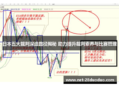 日本五大裁判深造路径揭秘 助力提升裁判素养与比赛管理