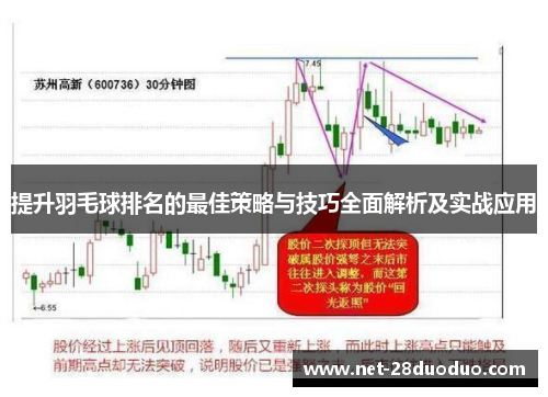 提升羽毛球排名的最佳策略与技巧全面解析及实战应用