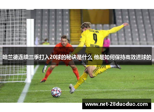 哈兰德连续三季打入20球的秘诀是什么 他是如何保持高效进球的
