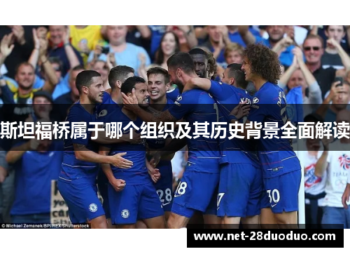 斯坦福桥属于哪个组织及其历史背景全面解读