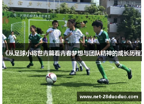 《从足球小将世青篇看青春梦想与团队精神的成长历程》