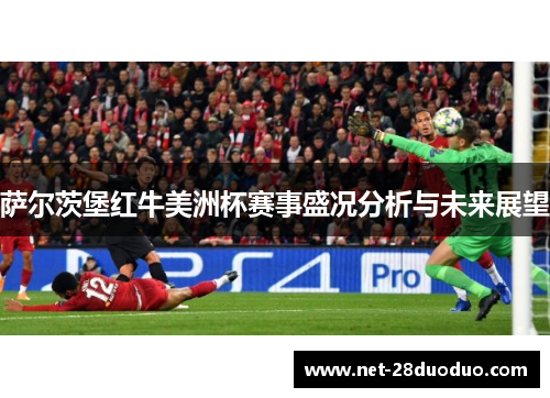萨尔茨堡红牛美洲杯赛事盛况分析与未来展望